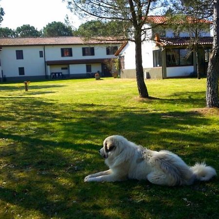 Artenatura Beb Terranuova Bracciolini Exterior foto